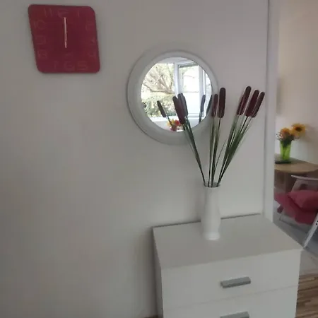 Sim Banja Luka